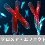 テロメアエフェクト